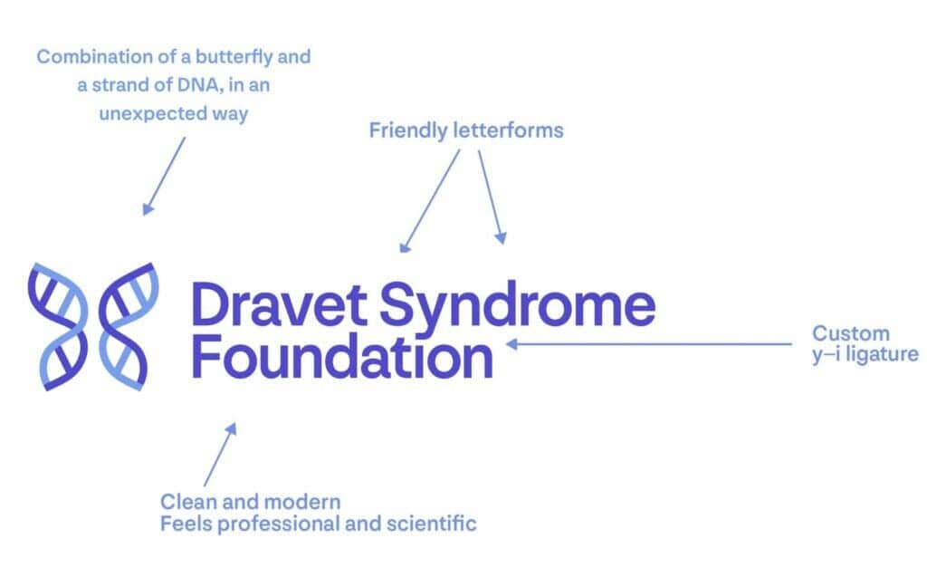 dsf logo explanation