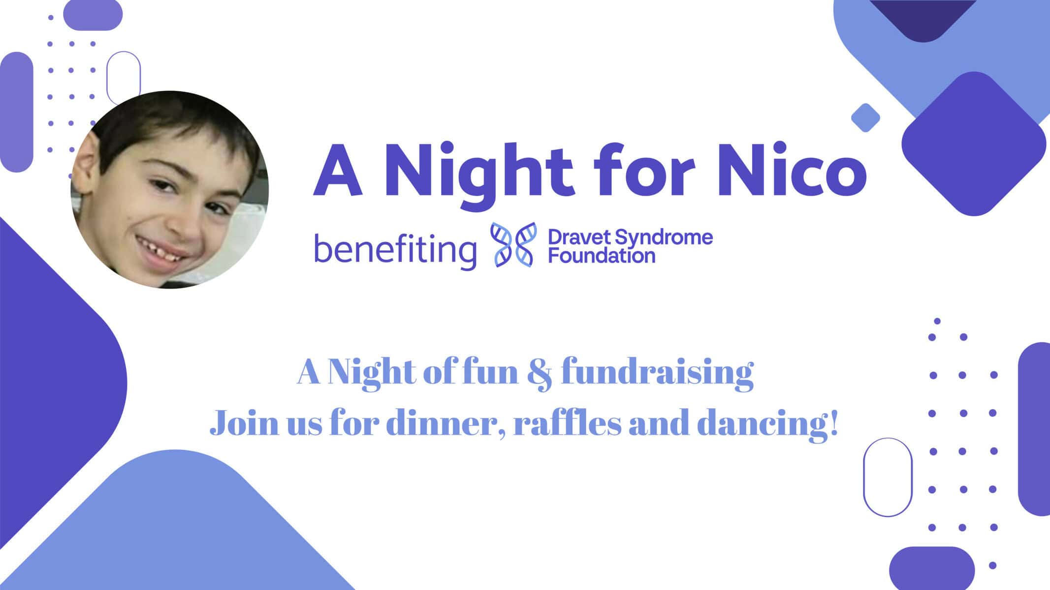 DSF website banner A Night for Nico 1920 x 1080 px 2 scaled