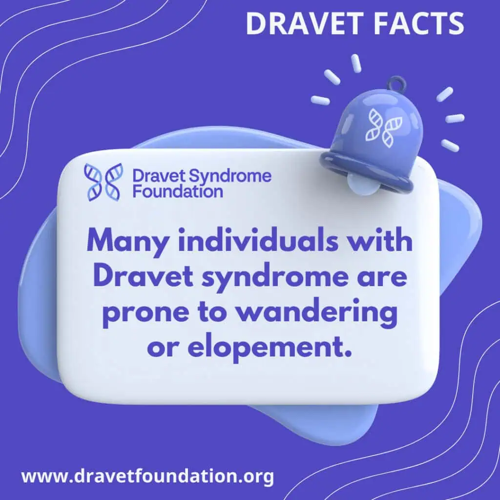 2025 DSF Fact 29